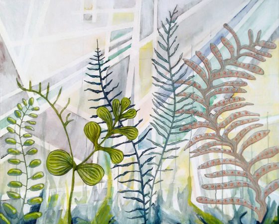 Ferns (2017)