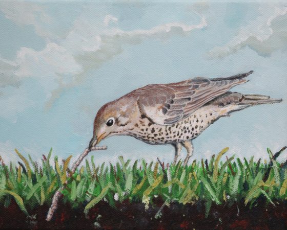 Bird’s lunch (2016) – Sold